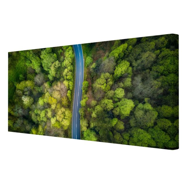 Schöne Leinwandbilder Luftbild - Asphaltstraße im Wald