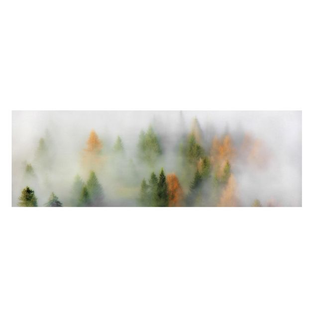 Wandbilder Nebelwald im Herbst