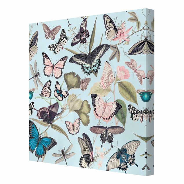 Wandbilder Vintage Vintage Collage - Schmetterlinge und Libellen
