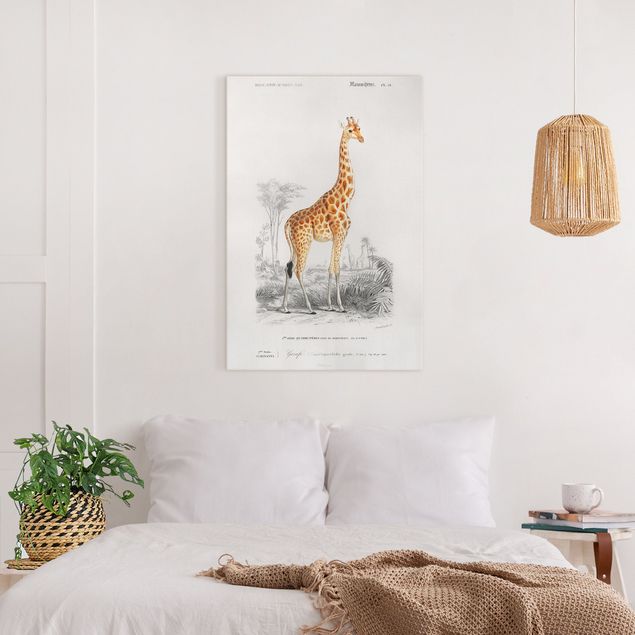 Wandbilder Tiere Vintage Lehrtafel Giraffe