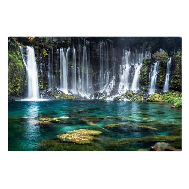 Wandbilder Wald Shiraito Wasserfall