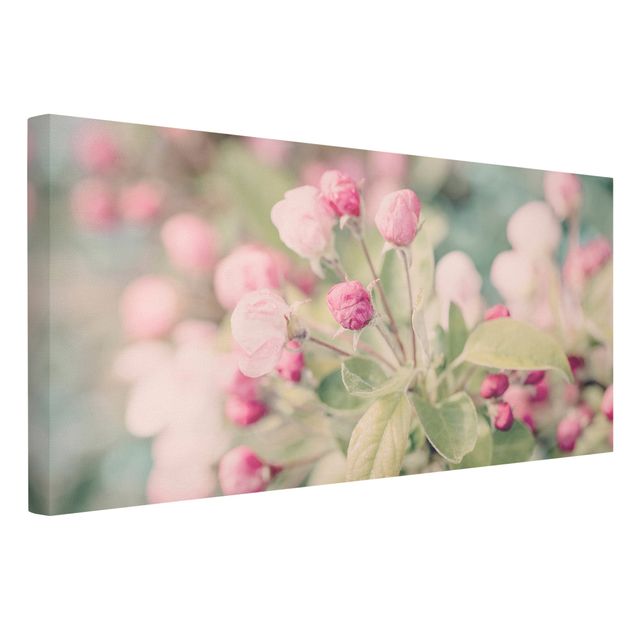 Moderne Leinwandbilder Wohnzimmer Apfelblüte Bokeh rosa