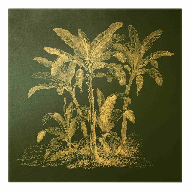 Bilder für die Wand Illustration Bananenpalmen auf Grün