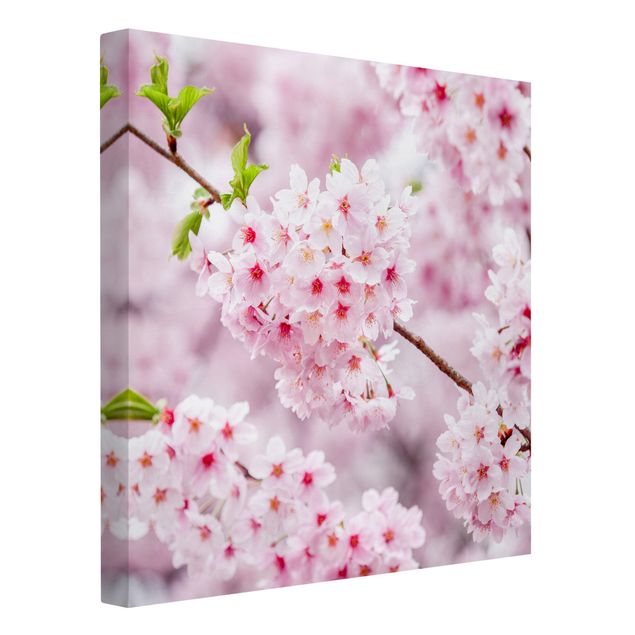 Leinwandbild Kunstdruck Japanische Kirschblüten