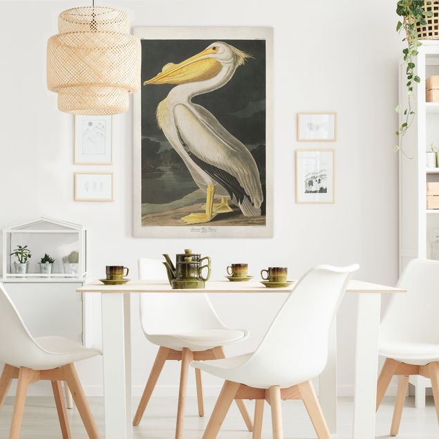 Leinwandbilder Vögel Vintage Lehrtafel Weißer Pelikan