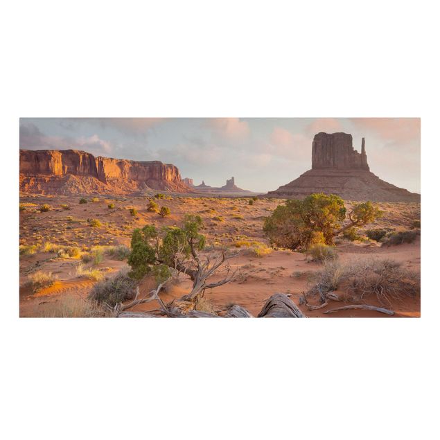 Wandbilder Monument Valley Navajo Tribal Park Arizona