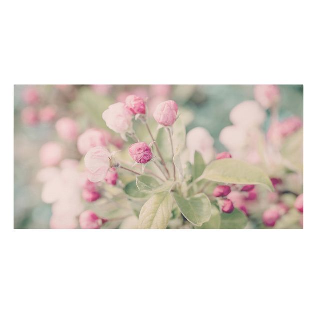 Bilder für die Wand Apfelblüte Bokeh rosa
