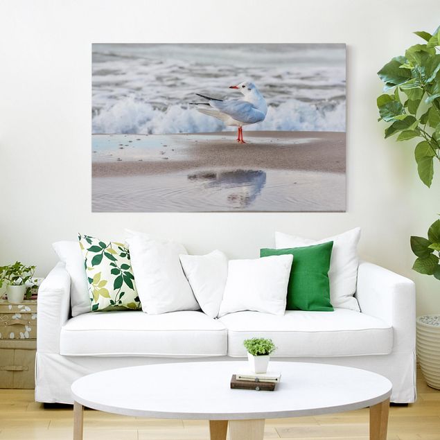 Wandbilder Vögel Möwe am Strand vor Meer