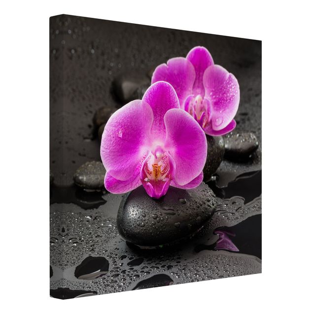 Kunstdrucke auf Leinwand Pinke Orchideenblüten auf Steinen mit Tropfen