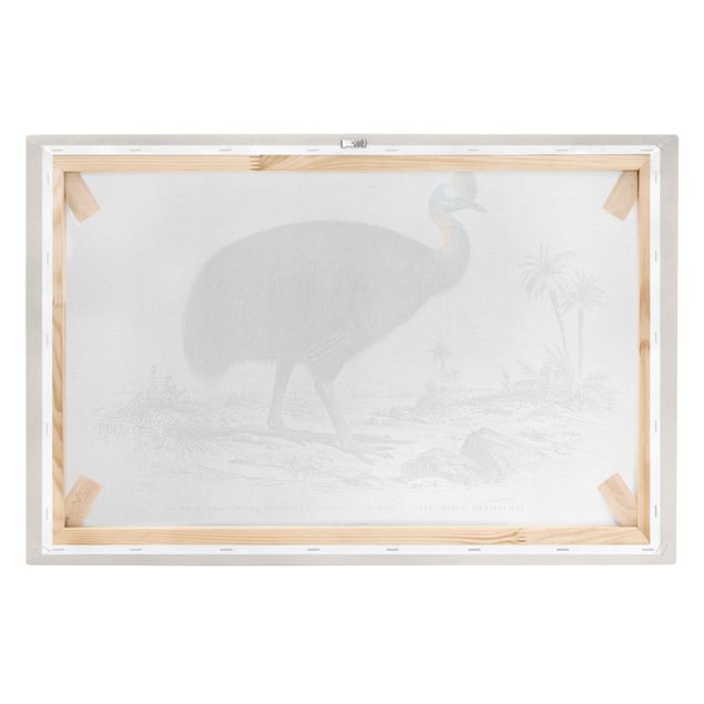 Bilder für die Wand Vintage Lehrtafel Emu
