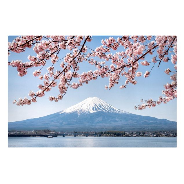 Wandbilder Natur Kirschblüten mit Berg Fuji