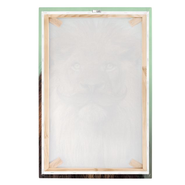 Leinwandbilder Löwe mit Bart
