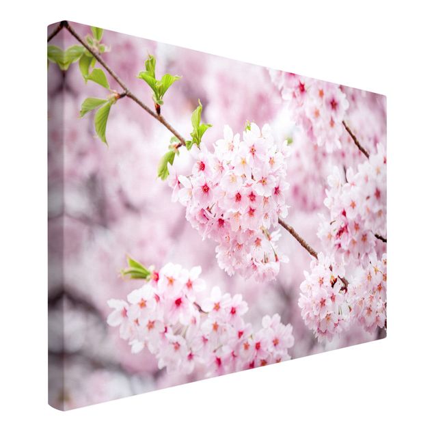 Leinwandbild Kunstdruck Japanische Kirschblüten