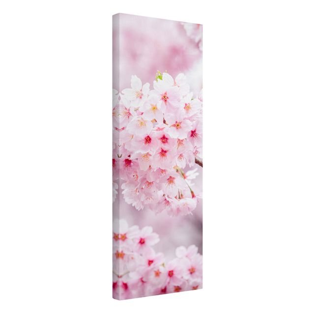 Kunstdrucke auf Leinwand Japanische Kirschblüten