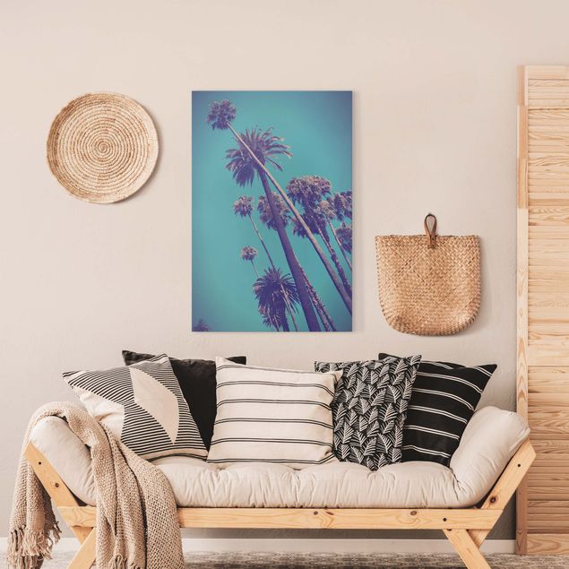 Leinwandbilder Blumen Tropische Pflanzen Palmen und Himmel