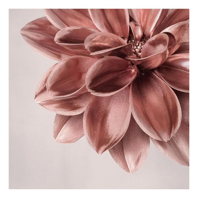 Leinwandbilder Dahlie Blume Rosegold Metallic Detail