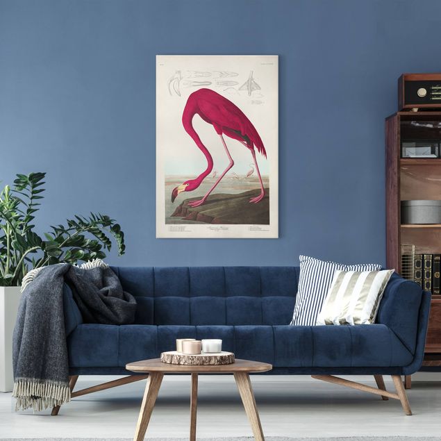 Wandbilder Vögel Vintage Lehrtafel Amerikanischer Flamingo
