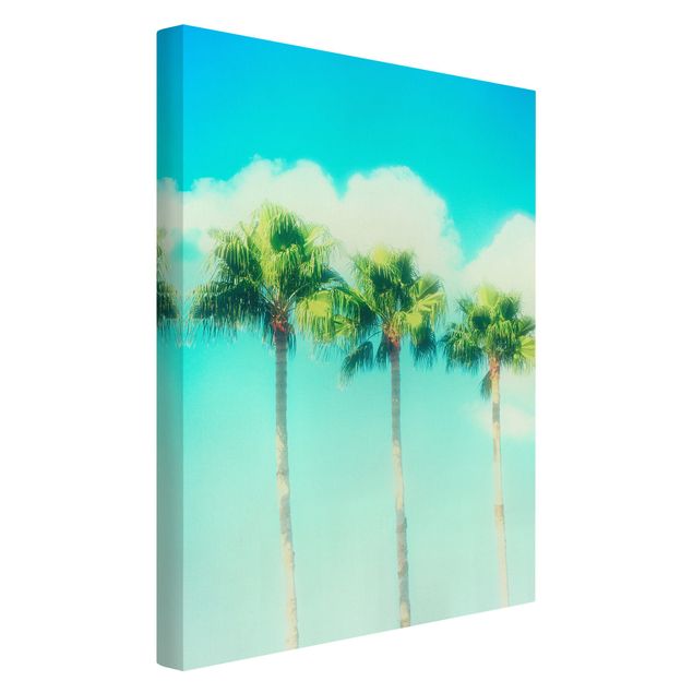 Kunstdrucke auf Leinwand Palmen vor Himmel Blau