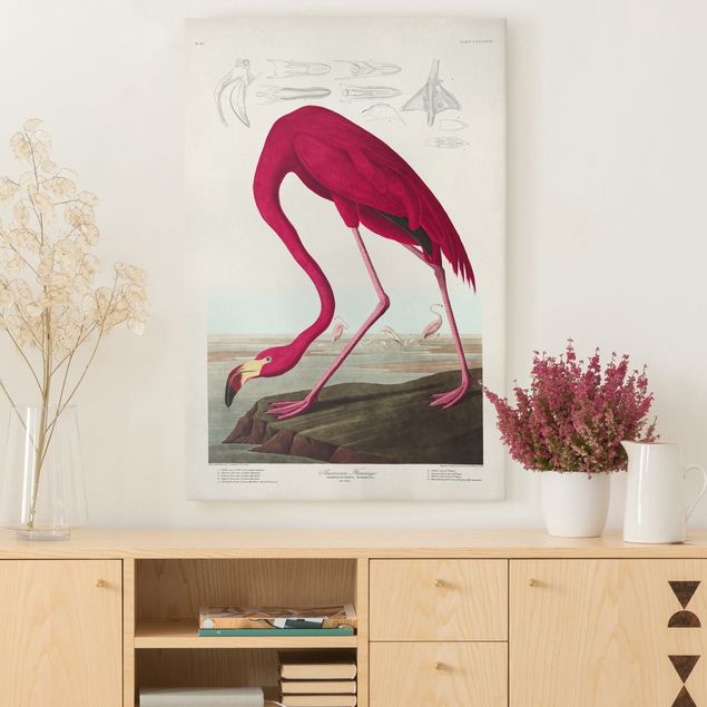 Leinwandbilder XXL Vintage Lehrtafel Amerikanischer Flamingo