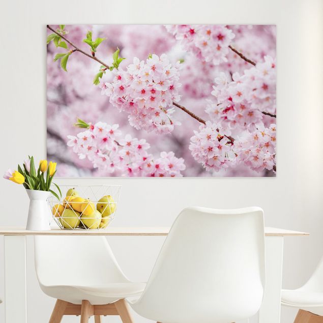 Leinwand Bilder XXL Japanische Kirschblüten