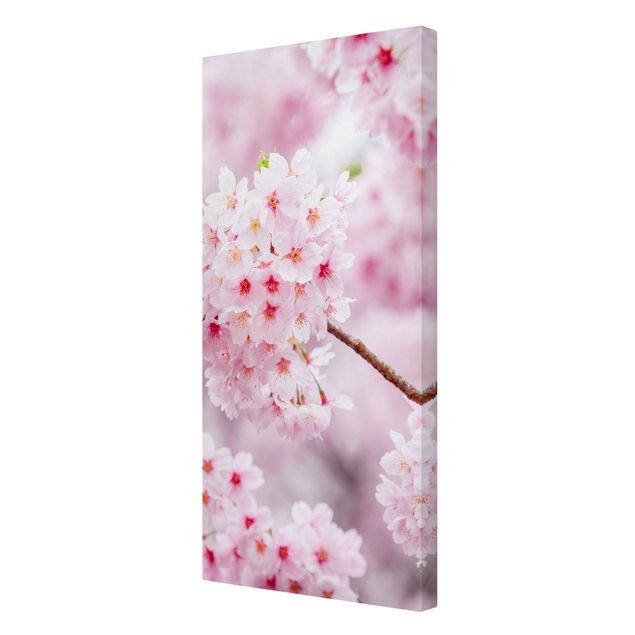 Wandbilder Wohnzimmer modern Japanische Kirschblüten