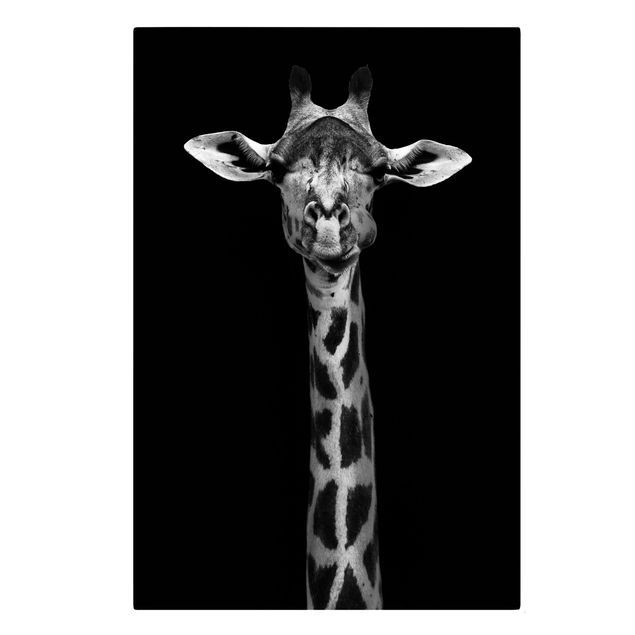 Leinwandbilder Tier Dunkles Giraffen Portrait