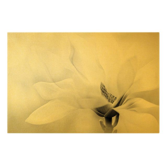 Bilder auf Leinwand Zarte Magnolienblüte Schwarz-Weiß