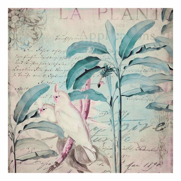 Leinwand Kunstdruck Colonial Style Collage - Kakadus und Palmen