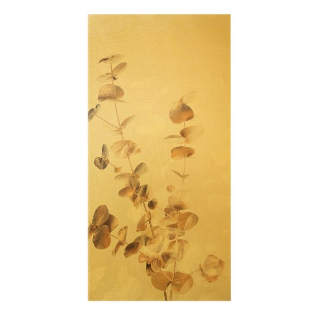 Bilder auf Leinwand Goldene Eukalyptuszweige mit Weiß