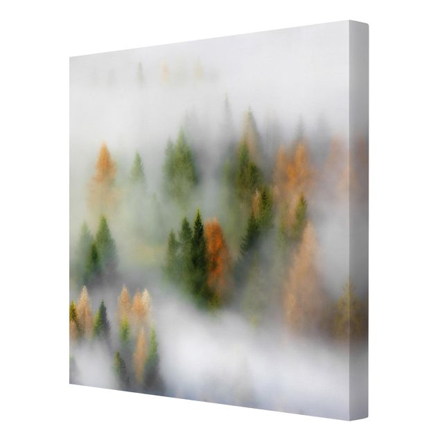 Leinwandbilder Nebelwald im Herbst