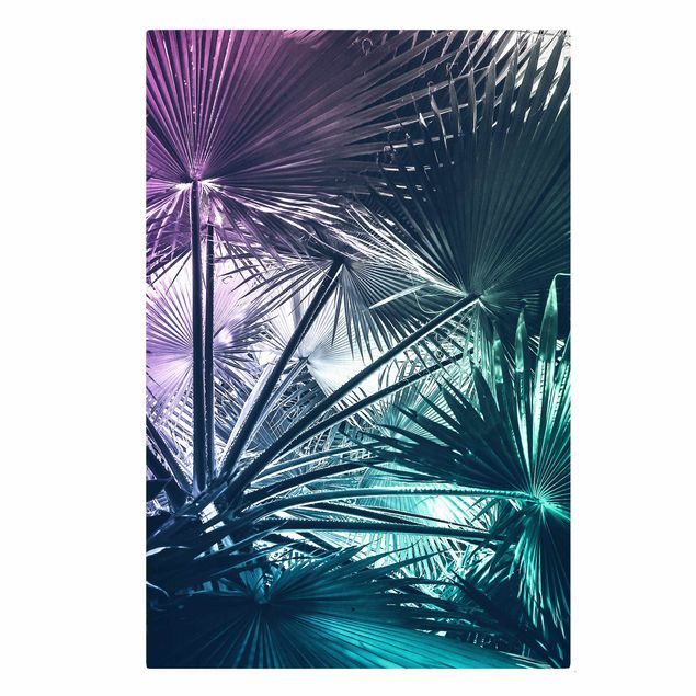 Schöne Wandbilder Tropische Pflanzen Palmenblatt in Türkis III