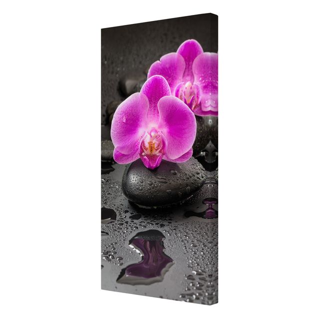 Wandbilder Pinke Orchideenblüten auf Steinen mit Tropfen