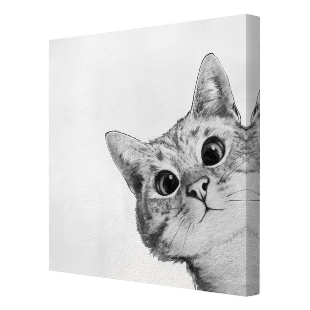 Wandbilder Tiere Illustration Katze Zeichnung Schwarz Weiß