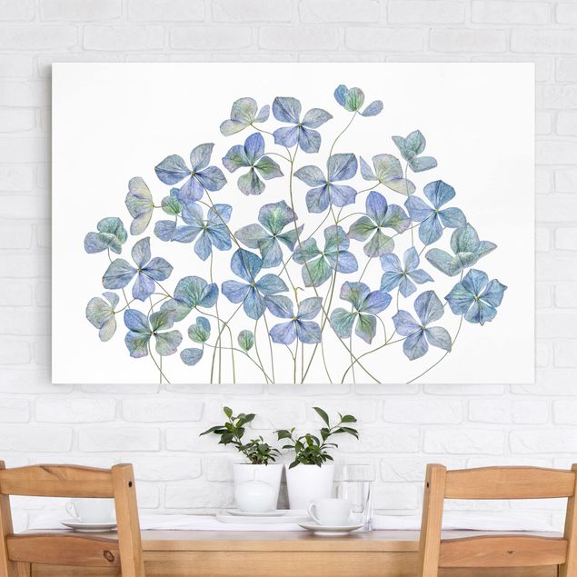 Wandbilder XXL Blaue Hortensienblüten