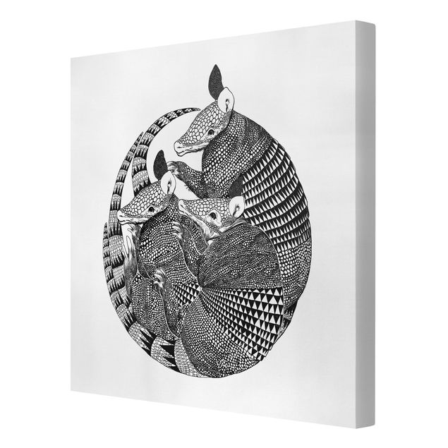 Tierbilder auf Leinwand Illustration Gürteltiere Schwarz Weiß Muster