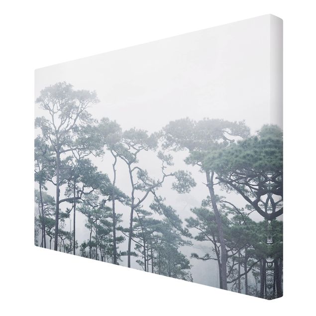Leinwandbilder Baumkronen im Nebel