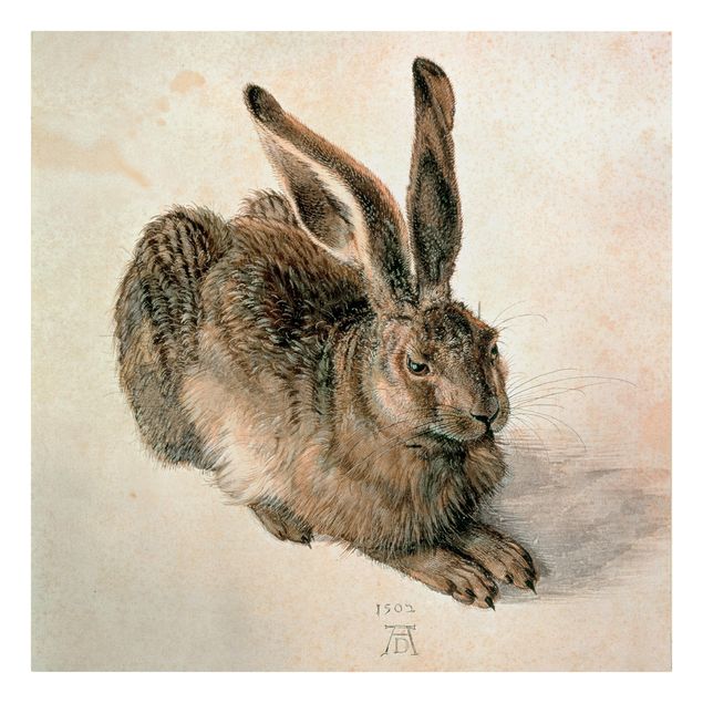 Leinwandbilder Tier Albrecht Dürer - Junger Feldhase