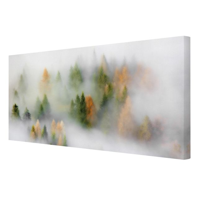 Bilder auf Leinwand Nebelwald im Herbst