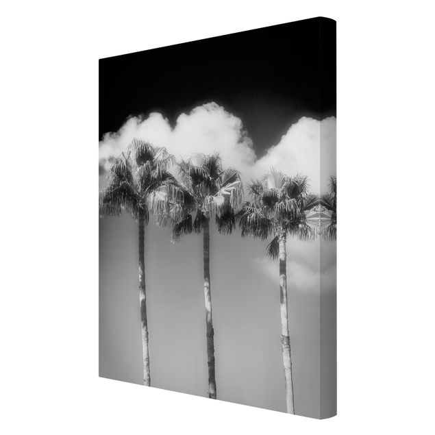 Schöne Wandbilder Palmen vor Himmel Schwarz-Weiß