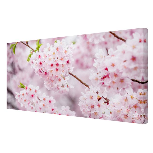 Leinwandbilder Wohnzimmer modern Japanische Kirschblüten