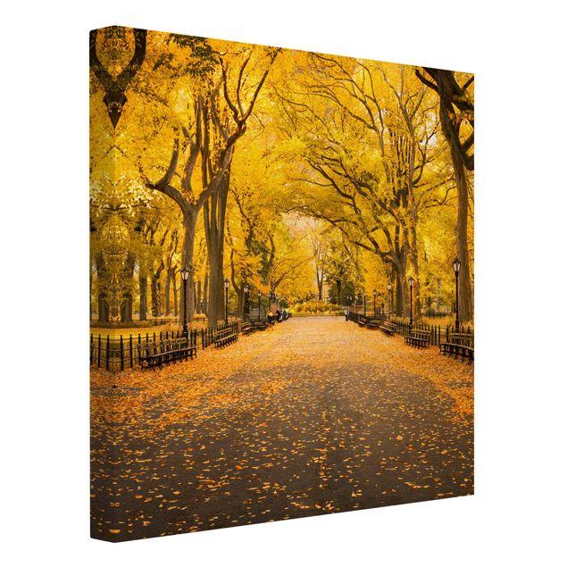Wandbilder Skyline Herbst im Central Park