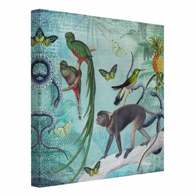 Wandbilder Affen Colonial Style Collage - Äffchen und Paradiesvögel