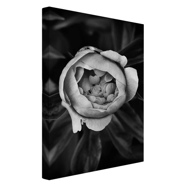Wandbilder Schwarz-Weiß Pfingstrosenblüte vor Blättern Schwarz Weiß