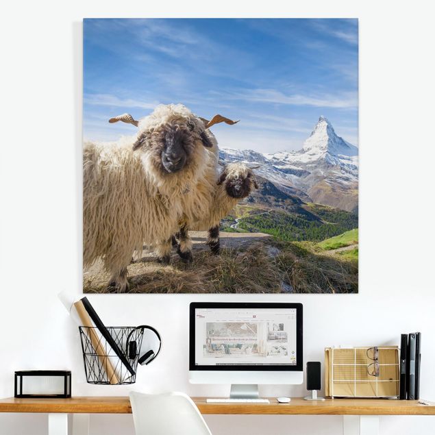 Leinwand Bilder XXL Schwarznasenschafe von Zermatt