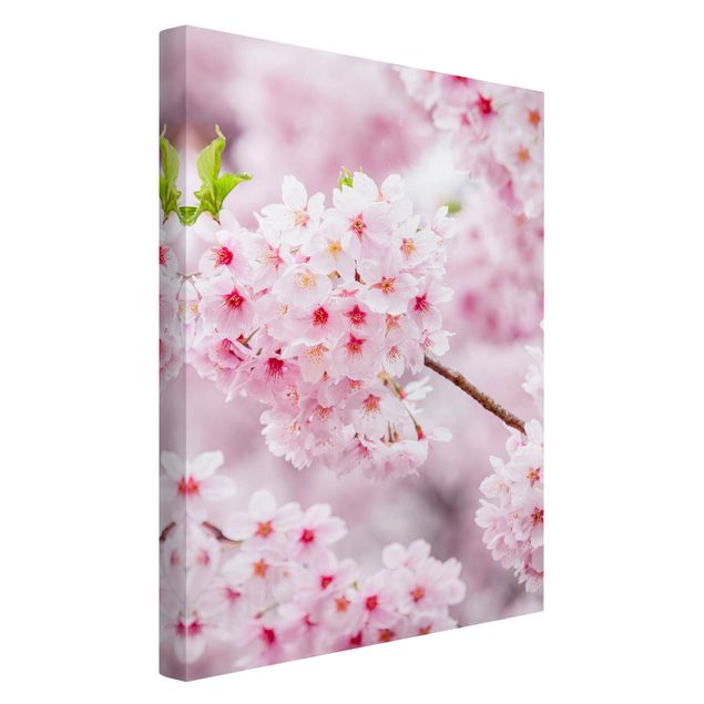 Leinwand Kunstdruck Japanische Kirschblüten