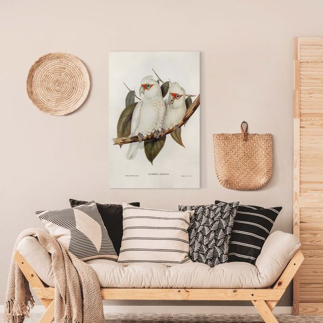 Leinwandbilder Vögel Vintage Illustration Weißer Kakadu