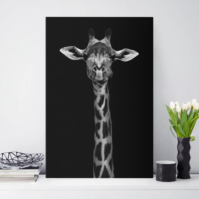 Leinwandbilder XXL Dunkles Giraffen Portrait