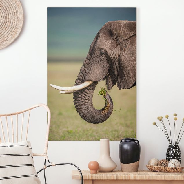 Wandbilder XXL Elefantenfütterung Afrika
