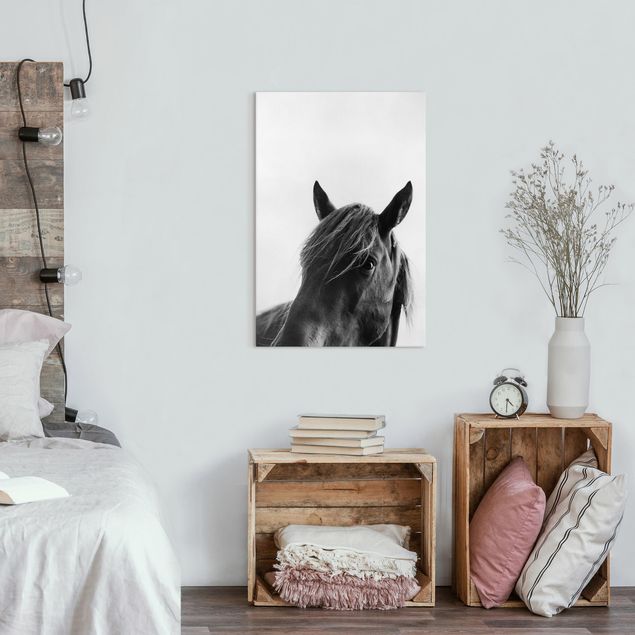 Wandbilder Tiere Neugieriges Pferd