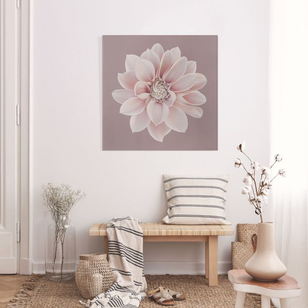 Wandbilder Blumen Dahlie Blume Lavendel Weiß Rosa